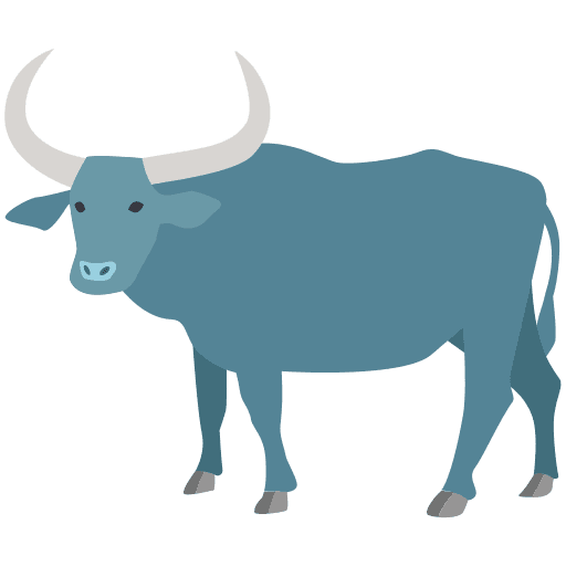 Murrah Buffalo